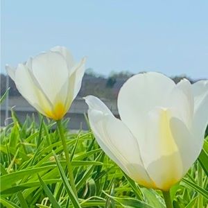 Meet your Posher, Lydia